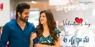Aswathama Worldwide Final collections