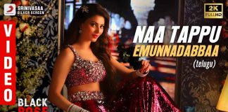 Naa Tappu Emunnadabbaa Video Song - Black Rose