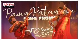 Paina Pataram Lona Lotaram Video Song