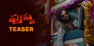 Pushpa Movie Official Teaser