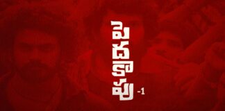 Peddha Kapu 1 Theatrical Trailer